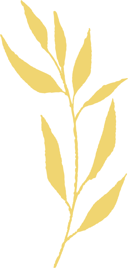 animated image